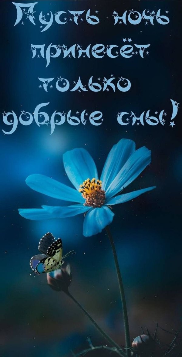 Изображение №28 653x1280 «Пусть ночь принесет только добрые сны!» из коллекции «Весенние открытки «Спокойной доброй ночи!»»