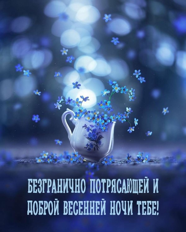 Изображение №59 1000x1250 «Безгранично потрясающей и доброй весенней ночи тебе!» из коллекции «Весенние открытки «Спокойной доброй ночи!»»