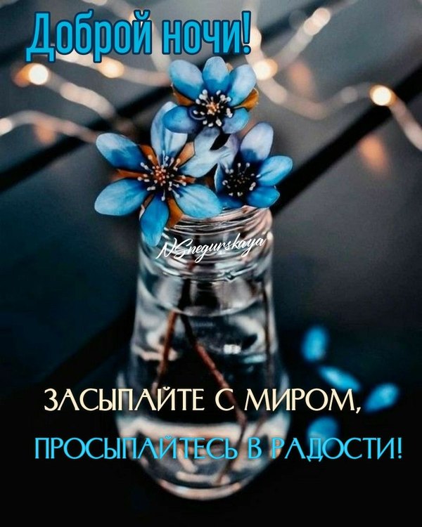 Изображение №3 960x1200 «Доброй ночи! Засыпайте с миром, просыпайтесь в радости!» из коллекции «Весенние открытки «Спокойной доброй ночи!»»