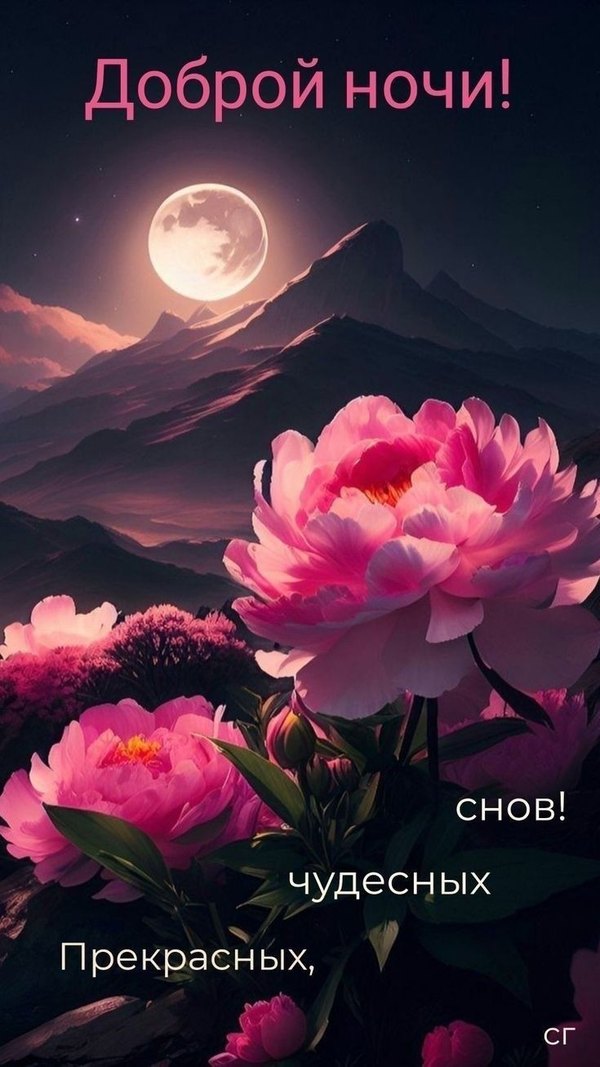 Изображение №16 735x1307 «Доброй ночи! Прекрасных чудесных снов!» из коллекции «Весенние открытки «Спокойной доброй ночи!»»