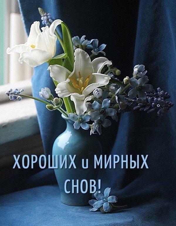 Изображение №17 563x722 «Открытка Хороших и мирных снов!» из коллекции «Весенние открытки «Спокойной доброй ночи!»»