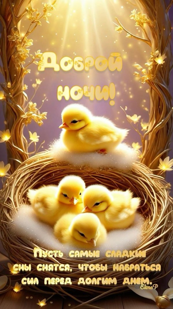 Изображение №15 736x1308 «Доброй ночи! Пусть самые сладкие сны снятся! Цыплята.» из коллекции «Весенние открытки «Спокойной доброй ночи!»»