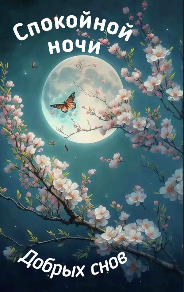 Изображение №25 736x1169 «Спокойной ночи и добрых снов!» из коллекции «Весенние открытки «Спокойной доброй ночи!»»