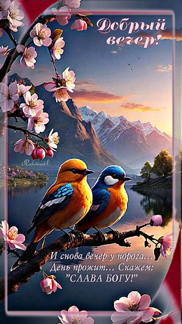 Изображение №17 804x1428  из коллекции «Весенние открытки «Хорошего доброго вечера!»»