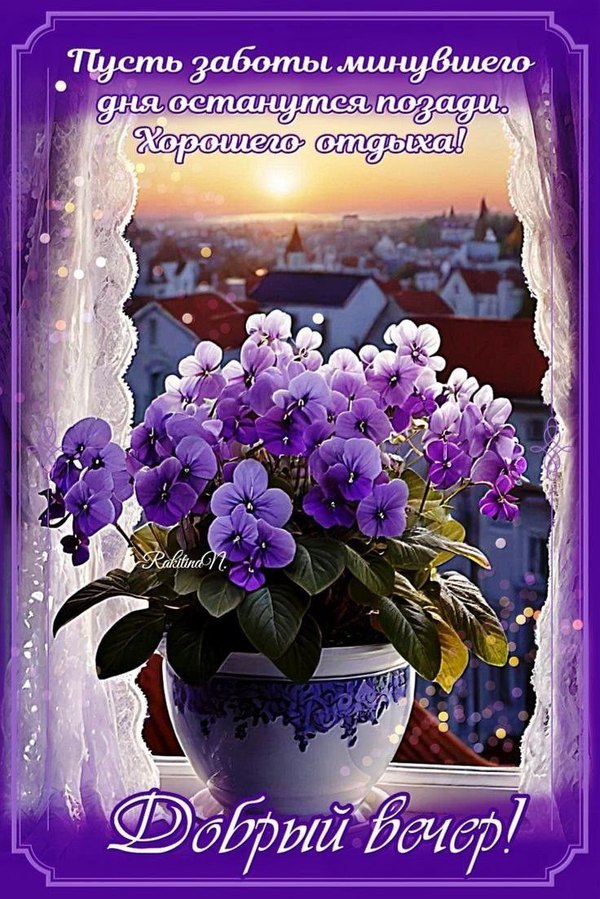 Изображение №18 736x1103  из коллекции «Весенние открытки «Хорошего доброго вечера!»»