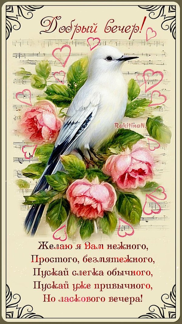 Изображение №38 804x1428  из коллекции «Весенние открытки «Хорошего доброго вечера!»»