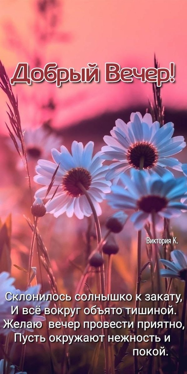 Изображение №55 640x1280  из коллекции «Весенние открытки «Хорошего доброго вечера!»»