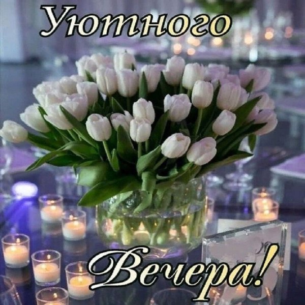 Изображение №50 800x800 «Уютного вечера!» из коллекции «Весенние открытки «Хорошего доброго вечера!»»