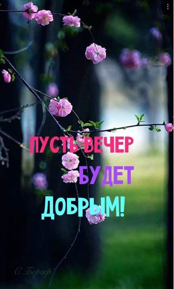 Изображение №63 616x1024 «Пусть вечер будет добрым!» из коллекции «Весенние открытки «Хорошего доброго вечера!»»