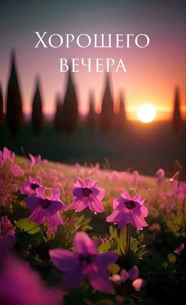 Изображение №66 637x1040  из коллекции «Весенние открытки «Хорошего доброго вечера!»»