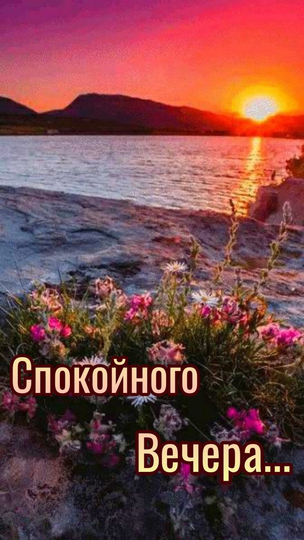 Изображение №49 1080x1916 «Открытка Спокойного вечера!» из коллекции «Весенние открытки «Хорошего доброго вечера!»»