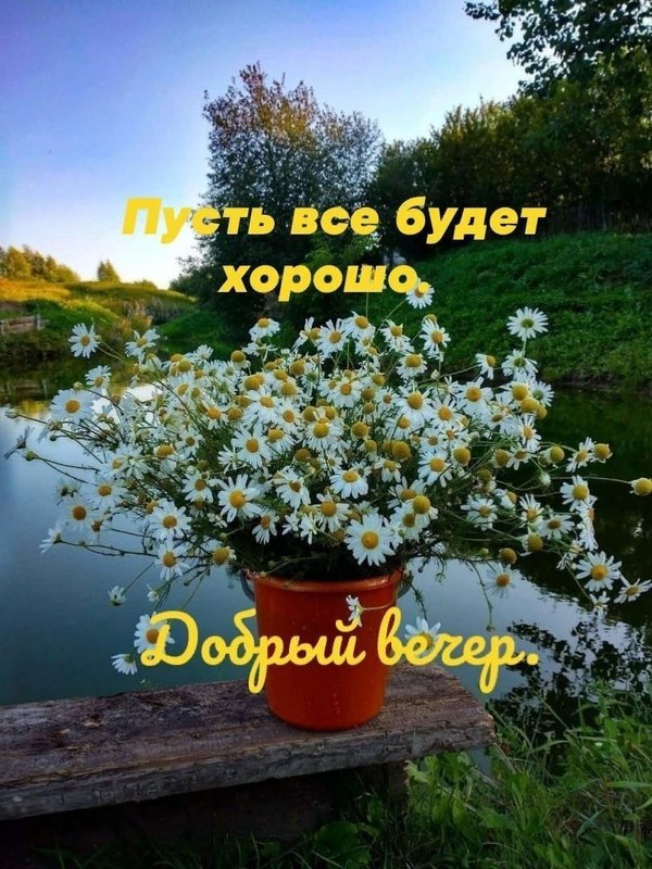 Изображение №59 810x1080 «Пусть все будет хорошо! Добрый вечер!» из коллекции «Весенние открытки «Хорошего доброго вечера!»»