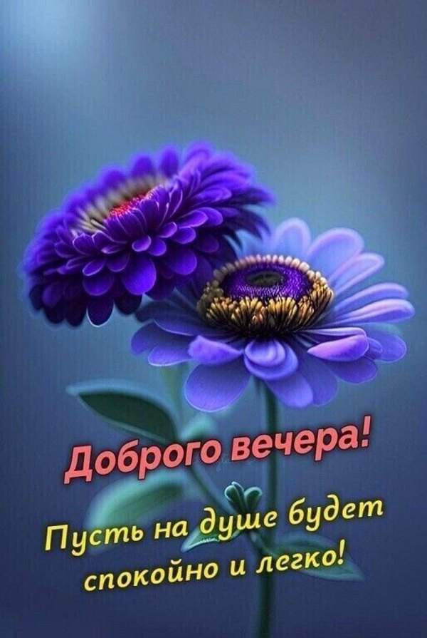 Изображение №21 515x768 «Доброго вечера! Пусть на душе будет спокойно и легко!» из коллекции «Весенние открытки «Хорошего доброго вечера!»»