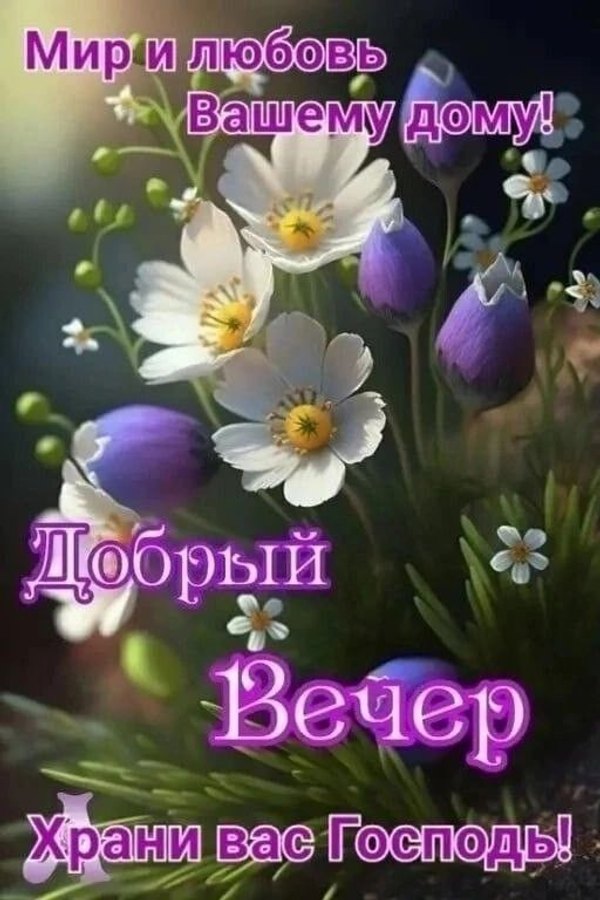 Изображение №2 512x768 «Мир и любовь вашему дому! Добрый вечер! Храни вас Господь!» из коллекции «Весенние открытки «Хорошего доброго вечера!»»