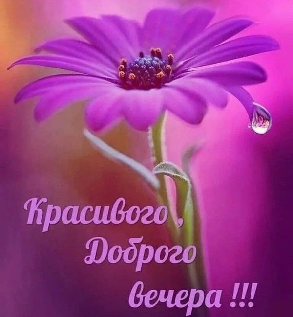 Изображение №69 720x778 «Красивого доброго вечера!» из коллекции «Весенние открытки «Хорошего доброго вечера!»»