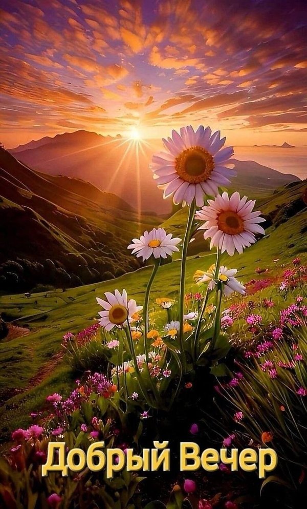 Изображение №10 774x1280 «Добрый вечер! Пейзаж, цветы, горы.» из коллекции «Весенние открытки «Хорошего доброго вечера!»»