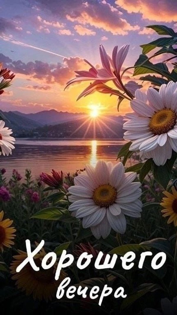 Изображение №61 432x768 «Открытка Хорошего вечера! Цветы, пейзаж.» из коллекции «Весенние открытки «Хорошего доброго вечера!»»