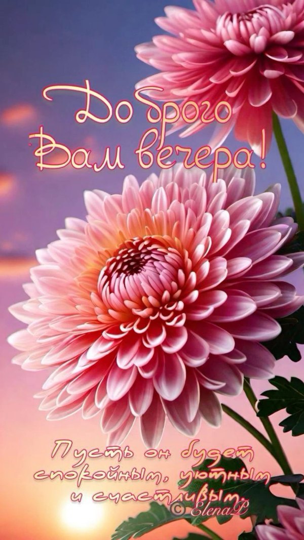 Изображение №32 1080x1920 «Красивая весенняя открытка Доброго вам вечера!» из коллекции «Весенние открытки «Хорошего доброго вечера!»»