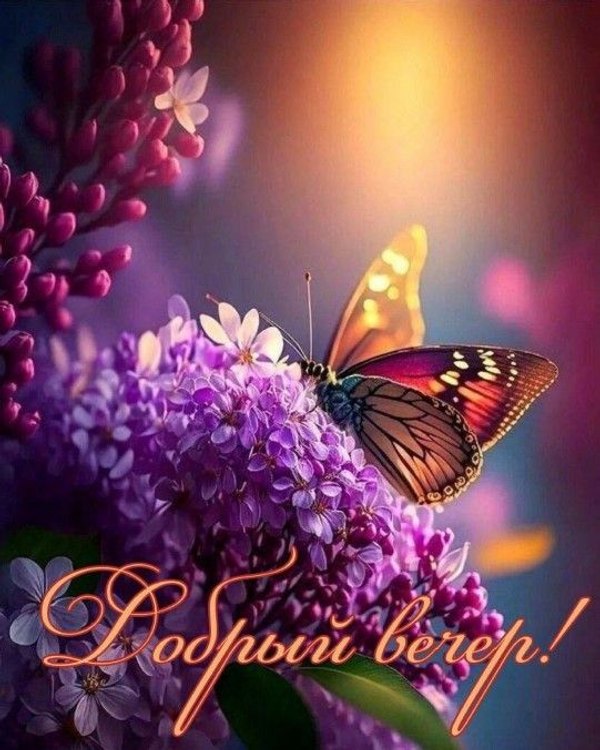 Изображение №72 541x676  из коллекции «Весенние открытки «Хорошего доброго вечера!»»