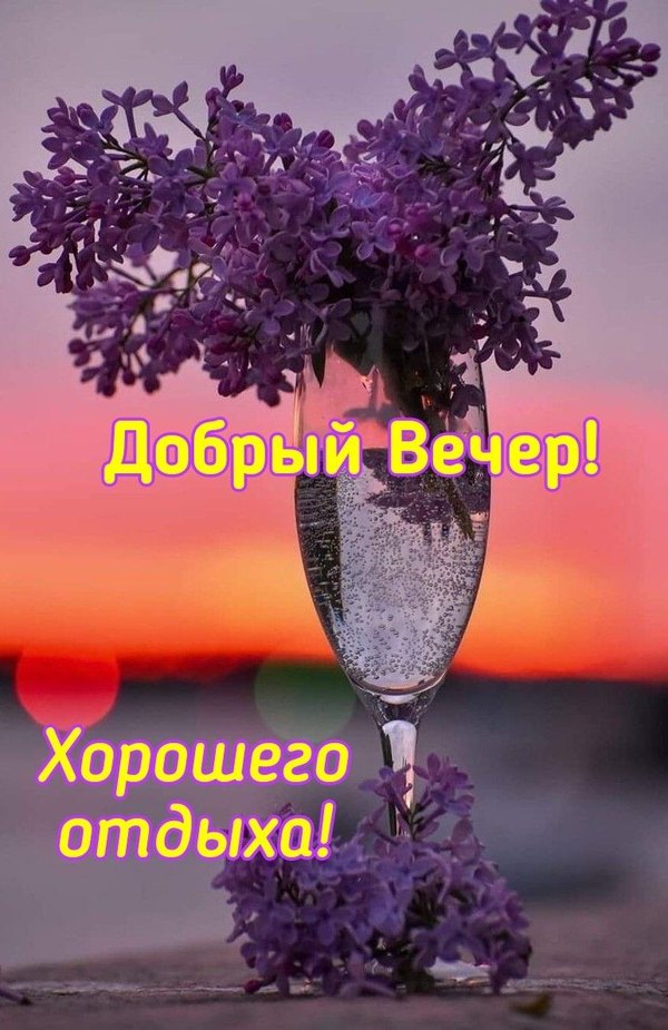 Изображение №70 771x1188 «Добрый вечер! Хорошего отдыха!» из коллекции «Весенние открытки «Хорошего доброго вечера!»»