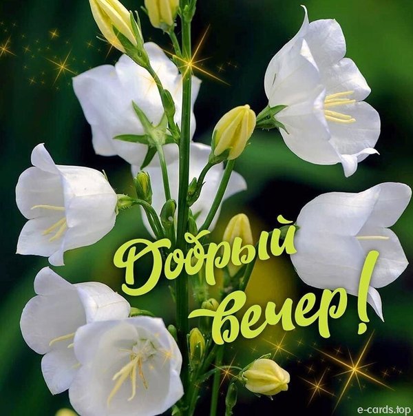 Изображение №47 850x856  из коллекции «Весенние открытки «Хорошего доброго вечера!»»