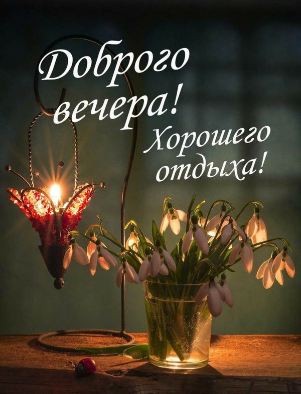 Изображение №8 736x965 «Доброго вечера! Хорошего отдыха!» из коллекции «Весенние открытки «Хорошего доброго вечера!»»