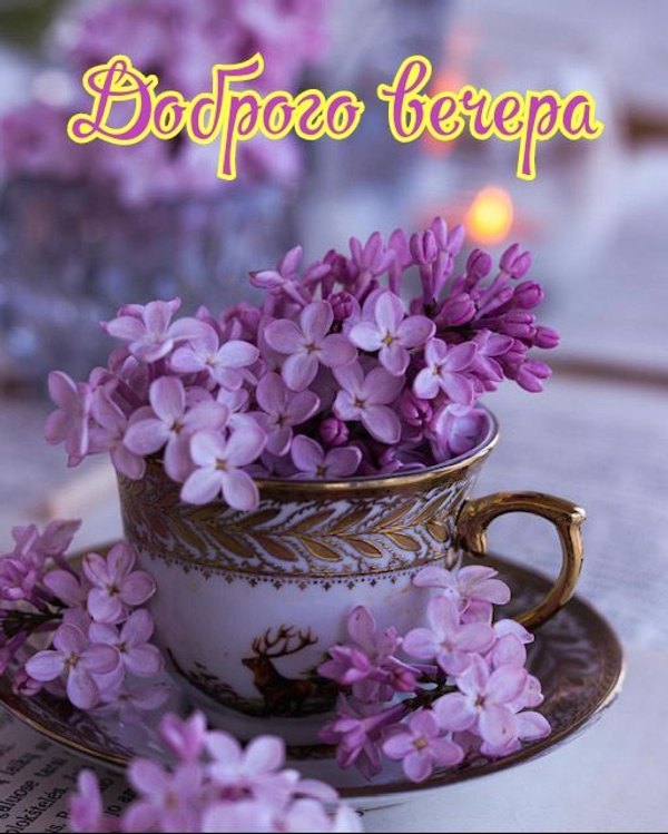 Изображение №37 513x640  из коллекции «Весенние открытки «Хорошего доброго вечера!»»