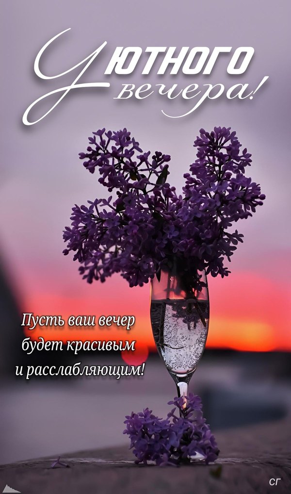 Изображение №73 1200x2035 «Уютного вечера! Пусть ваш вечер будет красивым и расслабляющим!» из коллекции «Весенние открытки «Хорошего доброго вечера!»»