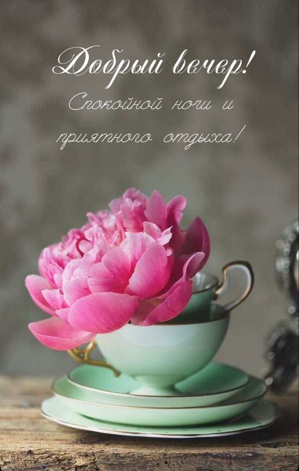 Изображение №43 763x1200 «Добрый вечер! Спокойной ночи и приятного отдыха!» из коллекции «Весенние открытки «Хорошего доброго вечера!»»