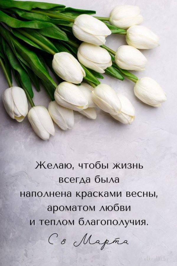 Изображение №12 564x846 «С 8 марта, букет белых тюльпанов» из коллекции «Красивые открытки «С 8 марта!»»