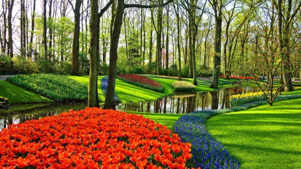 Изображение №24 1920x1080 «Парк, весна, цветы» из коллекции «Обои Тюльпаны»