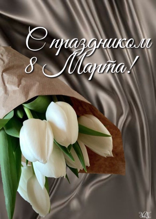 Изображение №21 720x1011 «С праздником 8 марта! Букет белых тюльпанов.» из коллекции «Красивые открытки «С 8 марта!»»