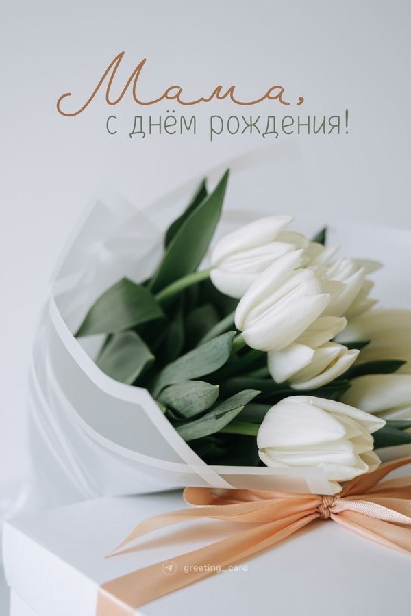 Изображение №25 736x1104 «Мама С днем рождения! Букет белых тюльпанов.» из коллекции «Открытки «С Днём Рождения, Мама!»»