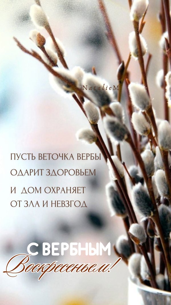 Изображение №46 1080x1920 «Пусть веточка вербы одарит здоровьем и дом охраняет от зла и невзгод!» из коллекции «Открытки на Вербное Воскресенье»
