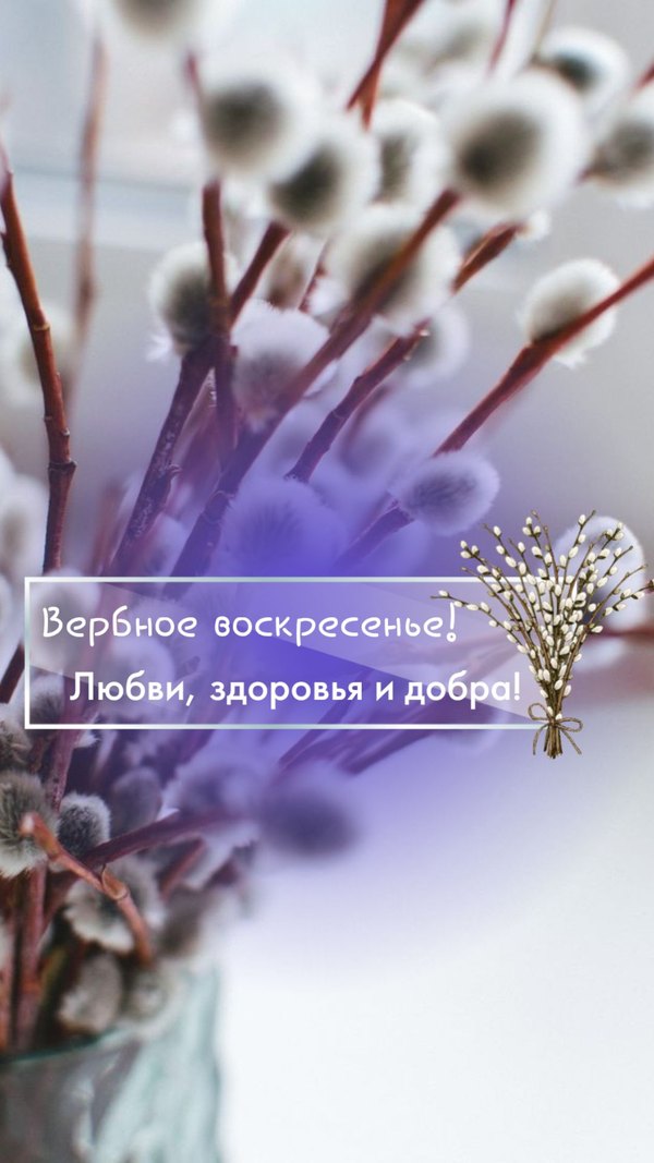 Изображение №47 1080x1920 «Вербное Воскресенье! Любви, здоровья, добра!» из коллекции «Открытки на Вербное Воскресенье»