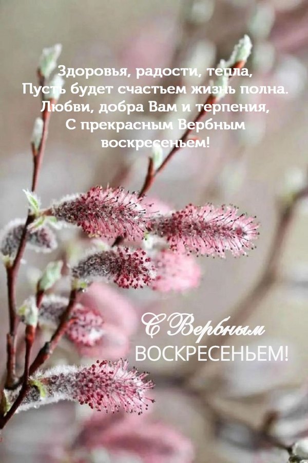 Изображение №20 830x1245  из коллекции «Открытки на Вербное Воскресенье»