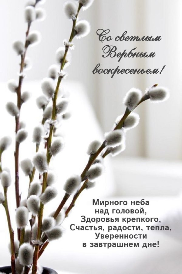 Изображение №21 830x1245 «Открытка Со Светлым Вербным Воскресеньем!» из коллекции «Открытки на Вербное Воскресенье»