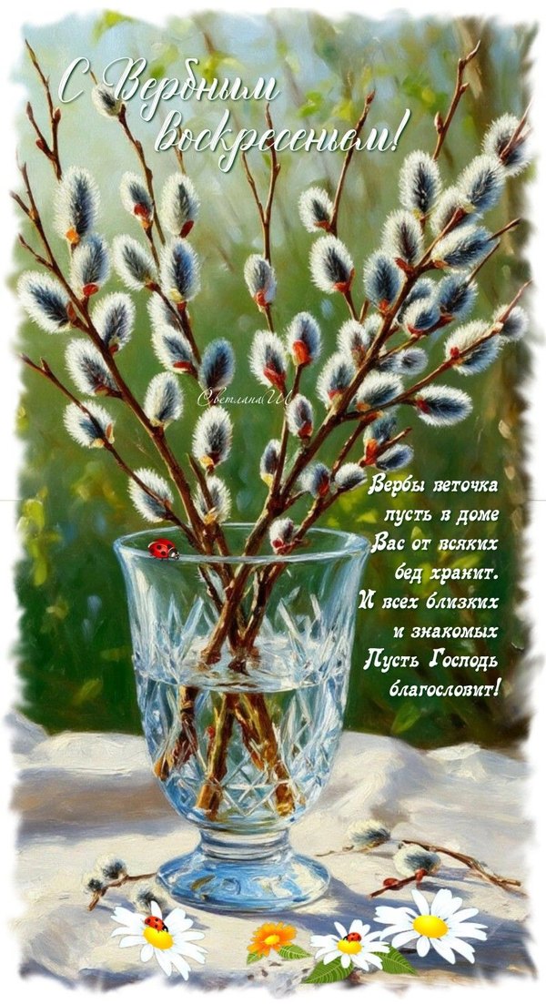 Изображение №4 803x1476  из коллекции «Открытки на Вербное Воскресенье»