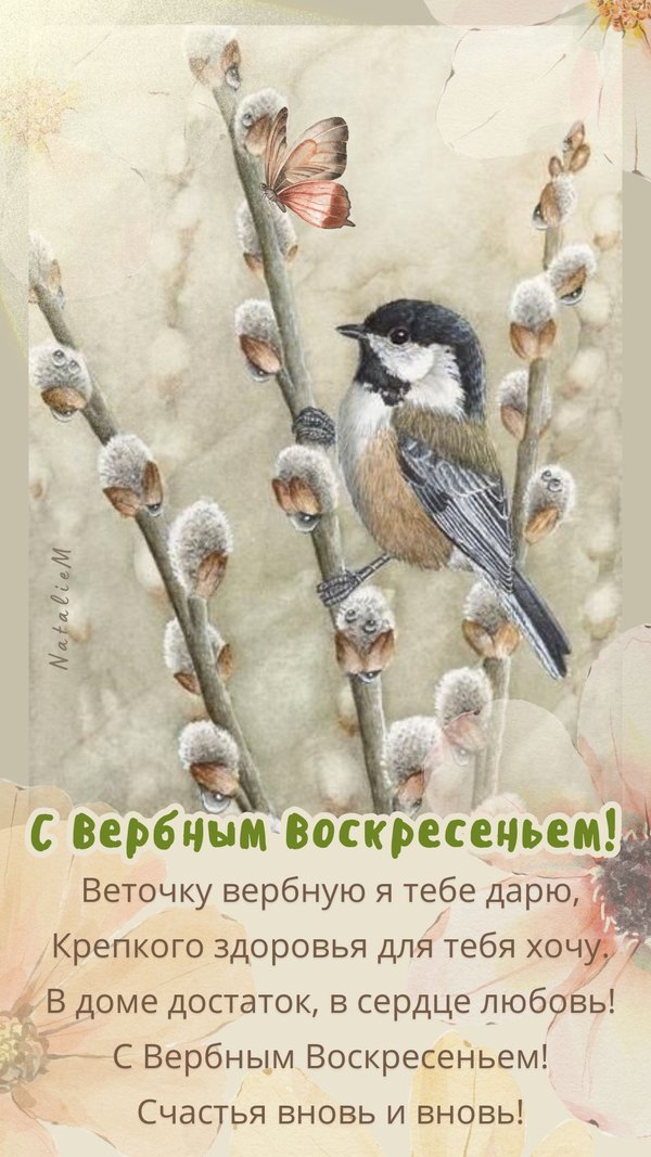 Изображение №5 1080x1920  из коллекции «Открытки на Вербное Воскресенье»