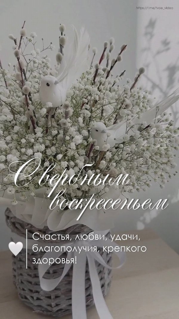 Изображение №34 720x1280 «С Вербным Воскресеньем! Счастья любви удачи...» из коллекции «Открытки на Вербное Воскресенье»