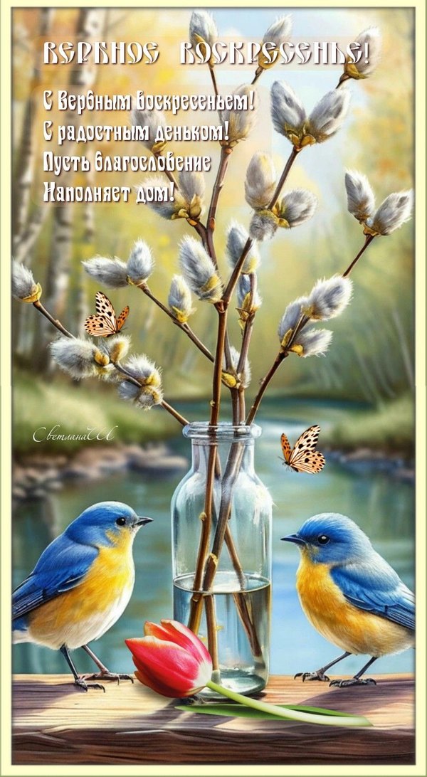 Изображение №6 811x1476 «С Вербным Воскресеньем! С радостным деньком!» из коллекции «Открытки на Вербное Воскресенье»