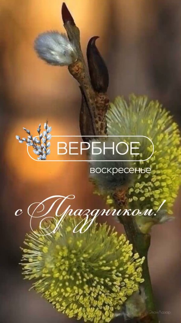 Изображение №35 1080x1920 «С Праздником Вербным Воскресеньем!» из коллекции «Открытки на Вербное Воскресенье»