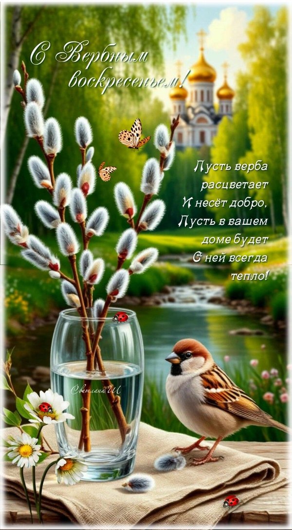 Изображение №48 815x1476 «Красивая открытка С Вербным Воскресеньем! Весна, природа.» из коллекции «Открытки на Вербное Воскресенье»