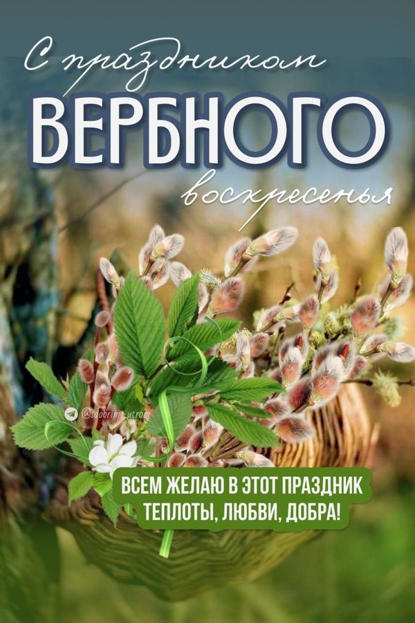 Изображение №39 853x1280 «С Праздником Вербного Воскресенья! Желаю теплоты, любви, добра!» из коллекции «Открытки на Вербное Воскресенье»