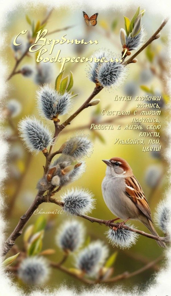 Изображение №26 853x1476 «Красивая открытка С Вербным Воскресеньем!» из коллекции «Открытки на Вербное Воскресенье»
