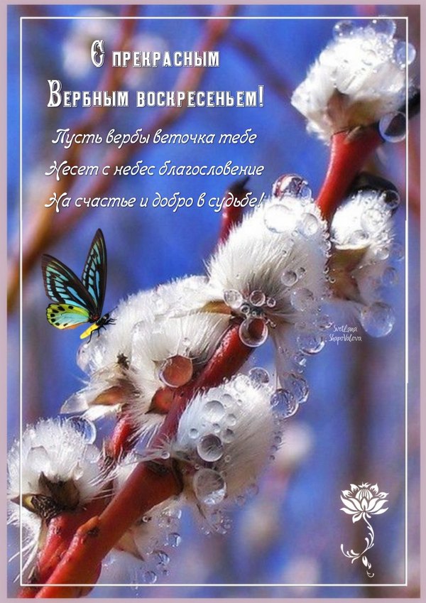 Изображение №30 1047x1482 «С Прекрасным Вербным Воскресеньем!» из коллекции «Открытки на Вербное Воскресенье»