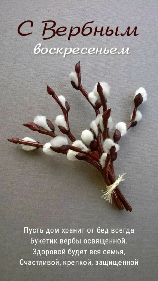 Изображение №24 720x1280  из коллекции «Открытки на Вербное Воскресенье»
