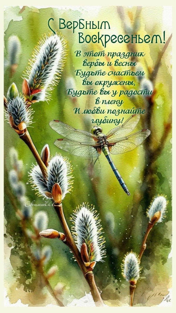 Изображение №2 831x1476  из коллекции «Открытки на Вербное Воскресенье»