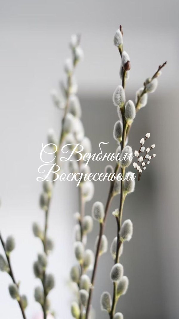 Изображение №43 1080x1920  из коллекции «Открытки на Вербное Воскресенье»