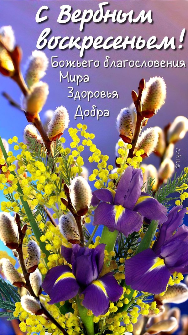 Изображение №44 1080x1920 «С Вербным Воскресеньем! Божьего благословения, мира, здоровья, добра!» из коллекции «Открытки на Вербное Воскресенье»